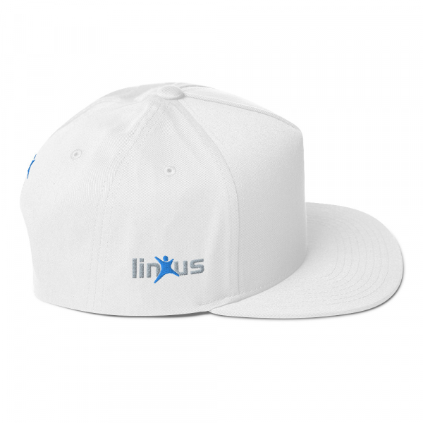 Linxus - Flat Bill Cap - Image 3